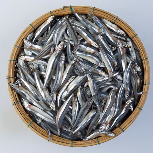 Nước mắm Sành-Ngọc Tích