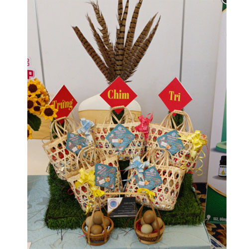 Trứng chim trĩ Hưng Long