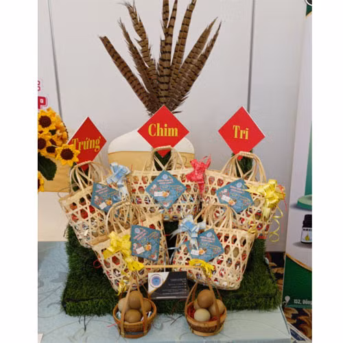 Trứng chim trĩ Hưng Long