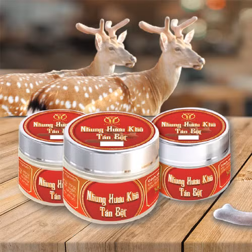 Nhung hươu tươi Chiến Sơn