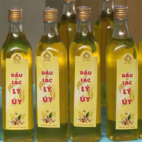 Dầu lạc Lý Úy