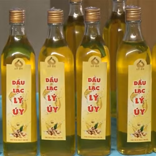 Dầu lạc Lý Úy