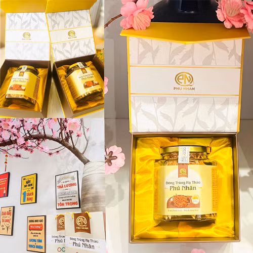 Đông trùng hạ thảo Phú Nhân