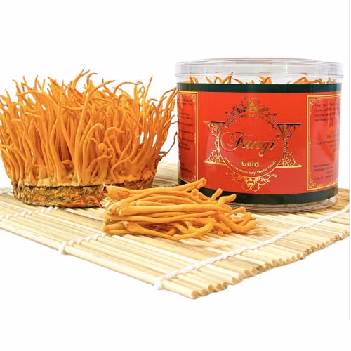 Nấm đông trùng hạ thảo tươi Fungi