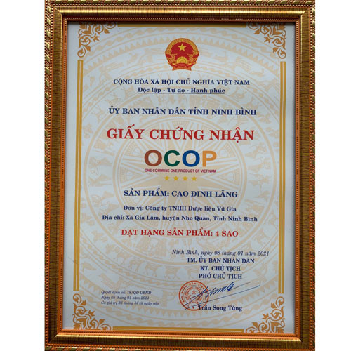 Cao đinh lăng Vũ Gia