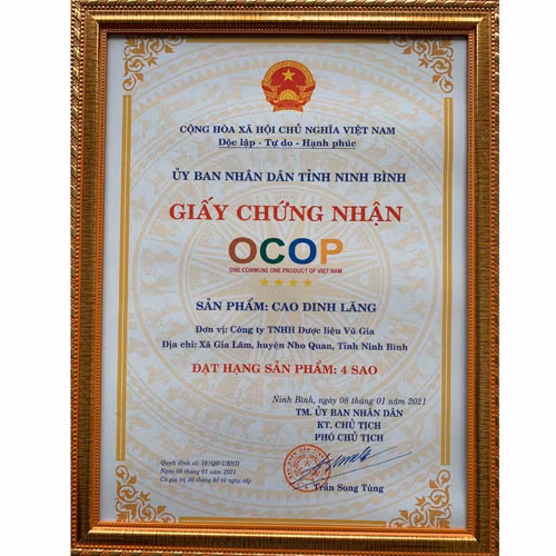 Cao đinh lăng Vũ Gia