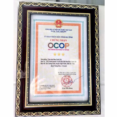 Tôm nõn Hoa Linh Chi