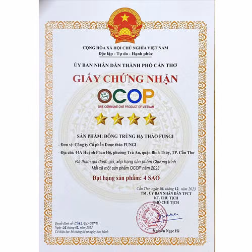 Nấm đông trùng hạ thảo tươi Fungi