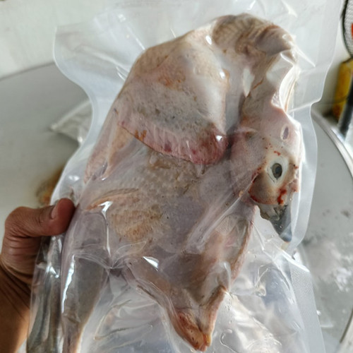 Chim trĩ thịt Hưng Long