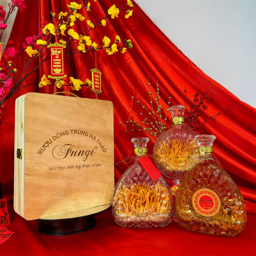 Rượu Đông trùng hạ thảo Fungi