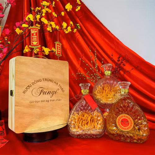 Rượu Đông trùng hạ thảo Fungi