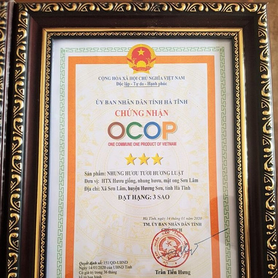 Nhung hươu tươi Hương Luật