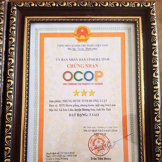 Nhung hươu tươi Hương Luật