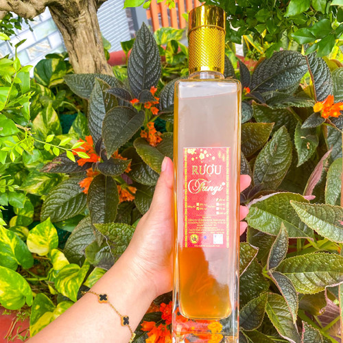 Rượu Đông trùng hạ thảo Fungi