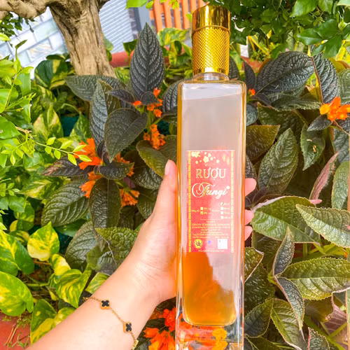 Rượu Đông trùng hạ thảo Fungi