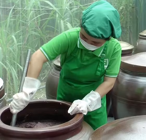 Mắm tôm Làng xưa