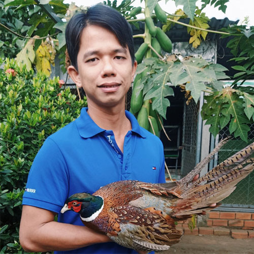 Trứng chim trĩ Hưng Long