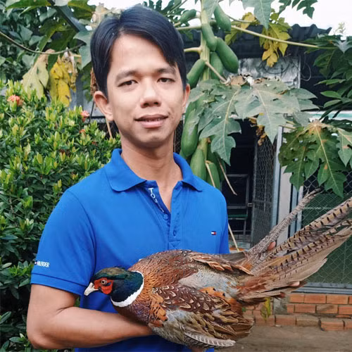 Trứng chim trĩ Hưng Long