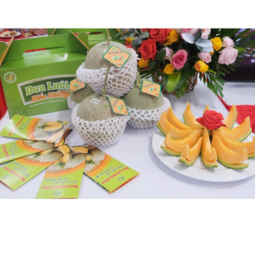 Dưa lưới Hiền Tiến