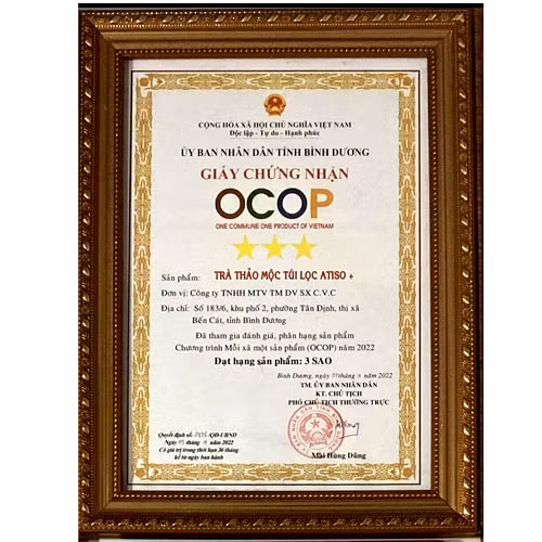 Trà thảo dược túi lọc Atiso+