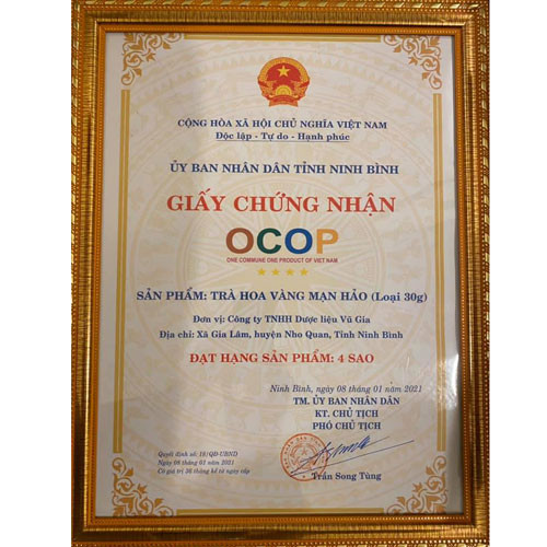 Trà hoa vàng Mạn Hảo