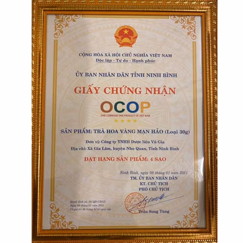 Trà hoa vàng Mạn Hảo