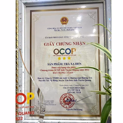 Trà xạ đen Hương Trà