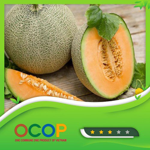 Dưa lưới An Xuân 