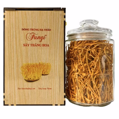 Nấm đông trùng hạ thảo tươi Fungi