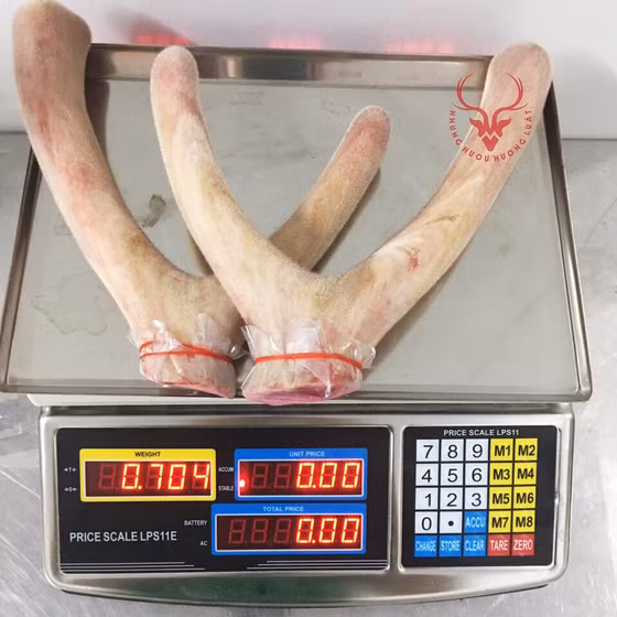 Nhung hươu tươi Hương Luật