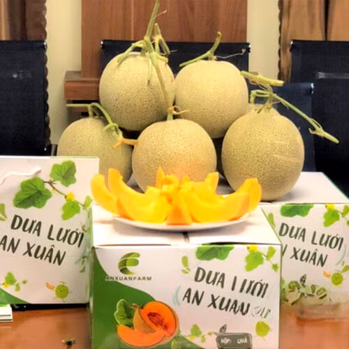 Dưa lưới An Xuân 