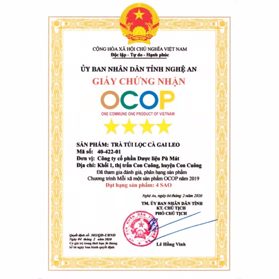 Trà túi lọc Cà gai leo