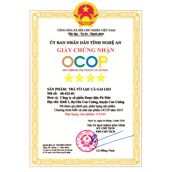 Trà túi lọc Cà gai leo