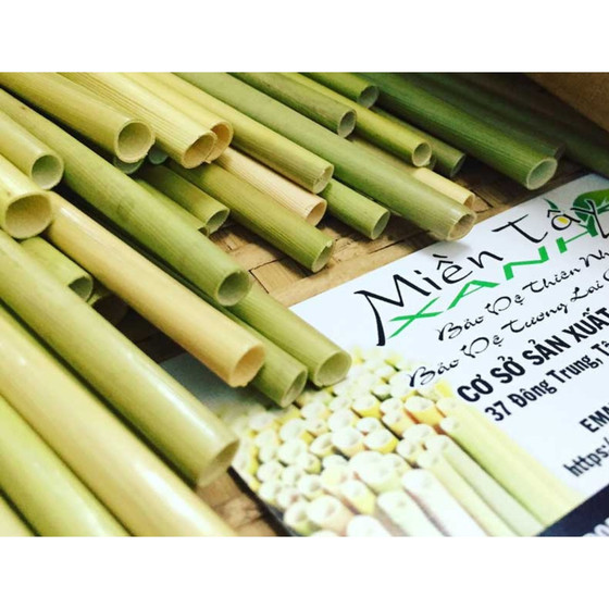 Ống hút cỏ bàng Miền Tây Xanh