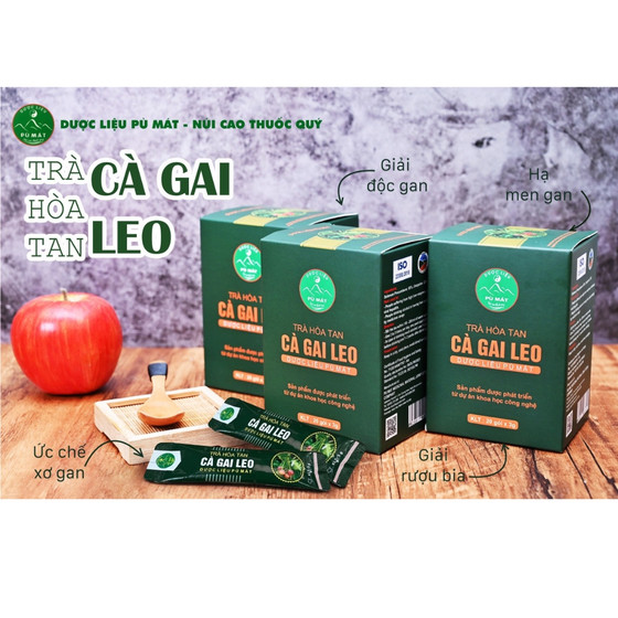 Trà hòa tan cà gai leo Pù Mát