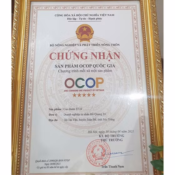 Gạo thơm ST24