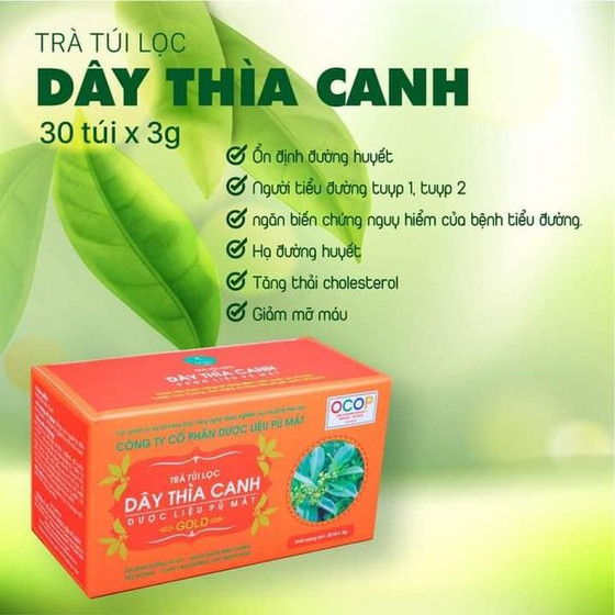 Trà túi lọc dây thìa canh