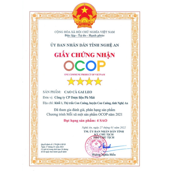 Cao cà gai leo Pù Mát