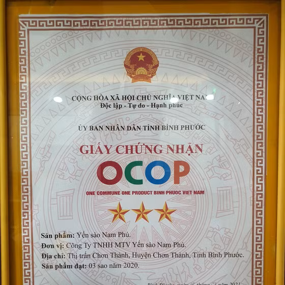 Yến sào Nam Phú