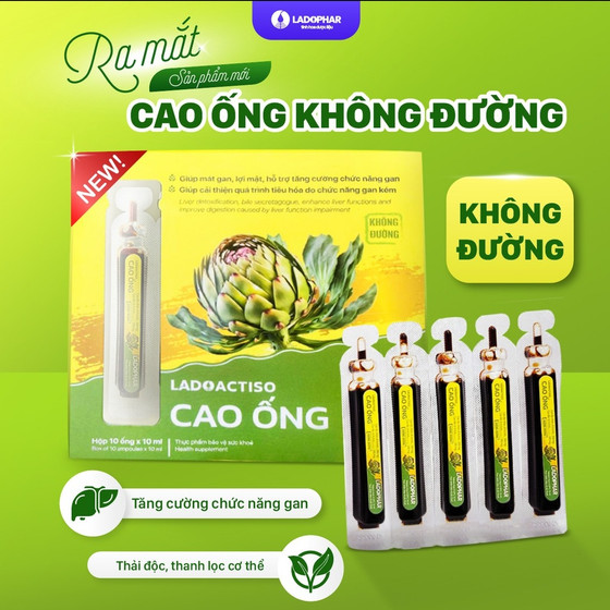 Ladoactiso cao ống