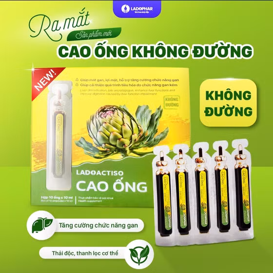 Ladoactiso cao ống