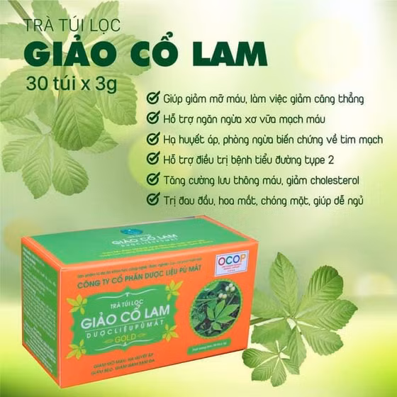 Trà túi lọc giảo cổ lam