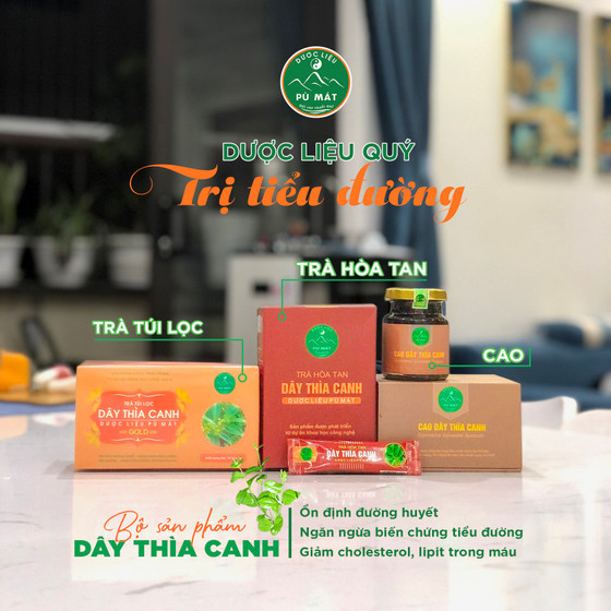 Trà túi lọc dây thìa canh