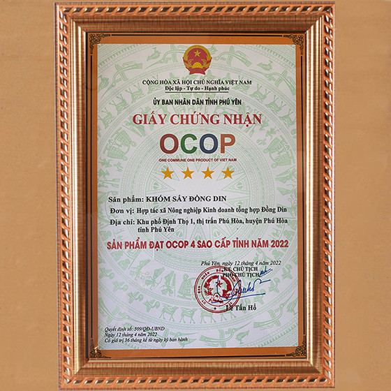 Khóm sấy Đồng Din