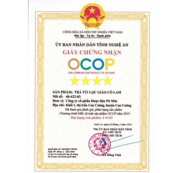 Trà túi lọc giảo cổ lam