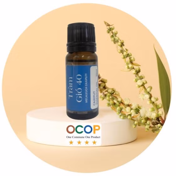 Tinh dầu tràm gió Mộc Hóa Việt Nam