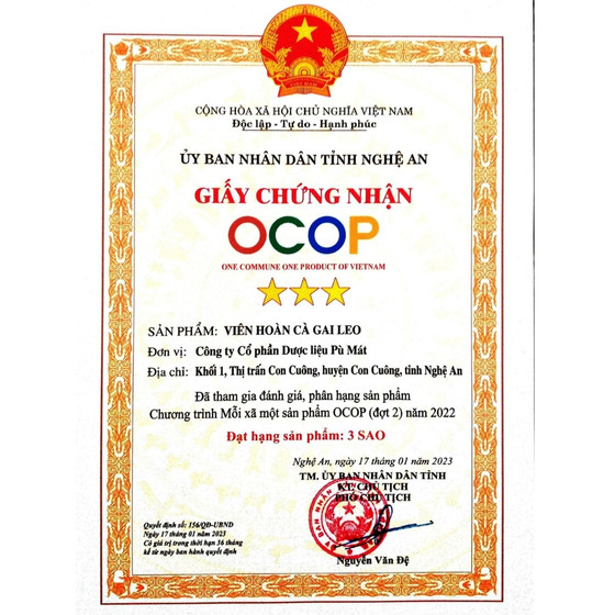 Viên hoàn cà gai leo Pù Mát 