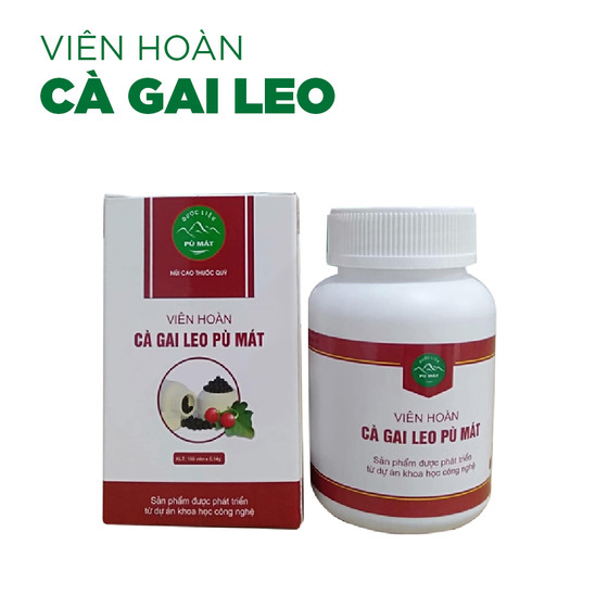 Viên hoàn cà gai leo Pù Mát 