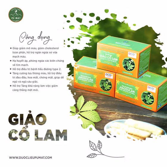 Trà túi lọc giảo cổ lam
