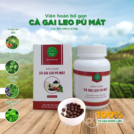 Viên hoàn cà gai leo Pù Mát 